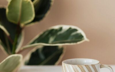 Planten in huis: waarom ze je woning gezonder maken