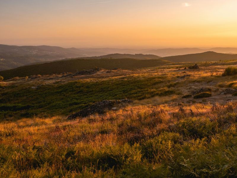 Hoe je buiten naar binnen haalt met natuurlijke kleuren